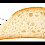 Microscopic view of bread structure showing starch molecules and moisture content